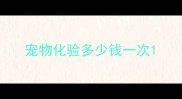 宠物化验多少钱一次