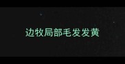 边牧局部毛发发黄