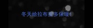冬天给拉布拉多保暖