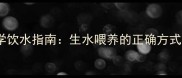 金毛幼犬科学饮水指南生水喂养的正确方式与注意事项