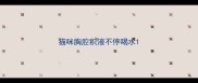 猫咪胸腔积液不停喝水