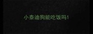 小泰迪狗能吃饭吗