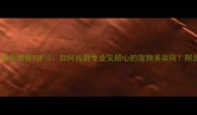 沈阳宠物美容推荐TOP10如何找到专业又贴心的宠物美容院附选店指南