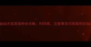 泰迪幼犬疫苗接种全攻略时间表注意事项与疾病预防指南