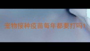 宠物接种疫苗每年都要打吗