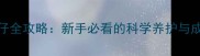 母犬产仔全攻略新手必看的科学养护与成长指南