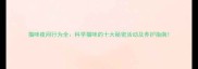 猫咪夜间行为全科学猫咪的十大秘密活动及养护指南