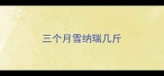 三个月雪纳瑞几斤
