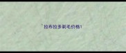 拉布拉多剃毛价格