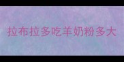 拉布拉多吃羊奶粉多大