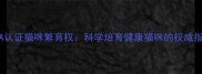 CFA认证猫咪繁育权科学培育健康猫咪的权威指南