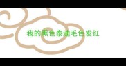 我的黑色泰迪毛色发红
