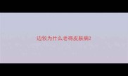 边牧为什么老得皮肤病