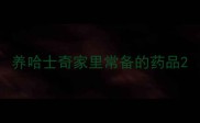 养哈士奇家里常备的药品