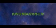 狗狗没精神其他都正常
