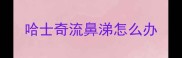 哈士奇流鼻涕怎么办