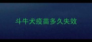 斗牛犬疫苗多久失效