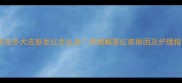 拉布拉多犬皮肤发红怎么办详细解答红疹原因及护理指南