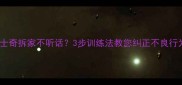 哈士奇拆家不听话3步训练法教您纠正不良行为