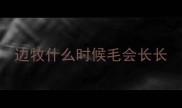 边牧什么时候毛会长长