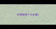萨摩耶两个月多重
