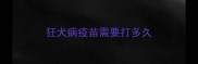 狂犬病疫苗需要打多久