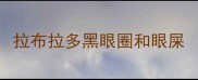 拉布拉多黑眼圈和眼屎