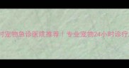 北京24小时宠物急诊医院推荐专业宠物24小时诊疗服务指南