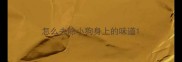 怎么去除小狗身上的味道