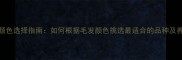 泰迪犬颜色选择指南如何根据毛发颜色挑选最适合的品种及养护要点