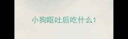 小狗呕吐后吃什么