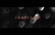 小泰迪用什么洗澡