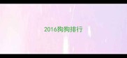 2016狗狗排行