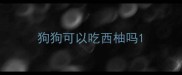 狗狗可以吃西柚吗