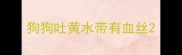 狗狗吐黄水带有血丝