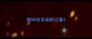 猫咪绝育麻醉过量