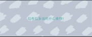 拉布拉多该吃什么食物