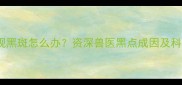 泰迪犬皮肤出现黑斑怎么办资深兽医黑点成因及科学护理全攻略