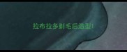 拉布拉多剃毛后造型