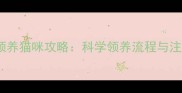 最全免费领养猫咪攻略科学领养流程与注意事项全
