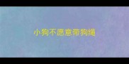 小狗不愿意带狗绳