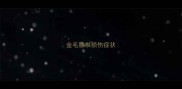金毛腰椎损伤症状