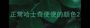 正常哈士奇便便的颜色
