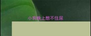 小狗晚上憋不住尿