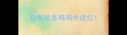 拉布拉多鸡鸡外皮红
