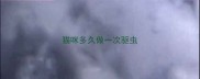 猫咪多久做一次驱虫