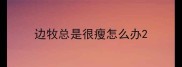 边牧总是很瘦怎么办
