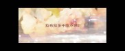 拉布拉多干咳不停