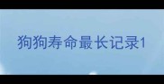 狗狗寿命最长记录
