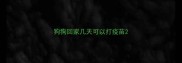 狗狗回家几天可以打疫苗